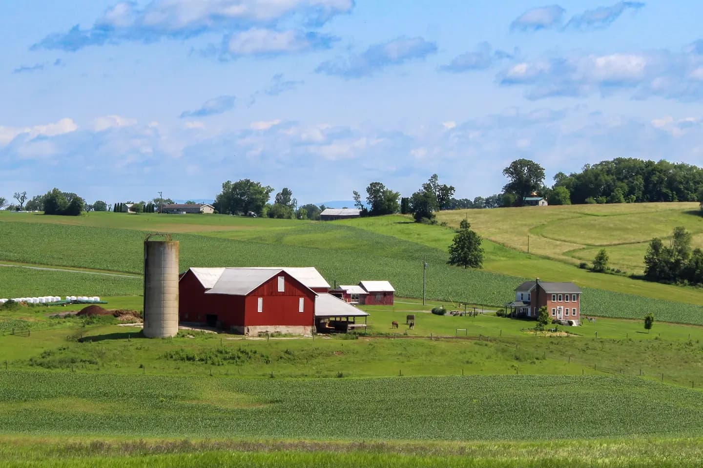 Illustrative scene, not evidence for this record: Rural farm landscape with a barn.