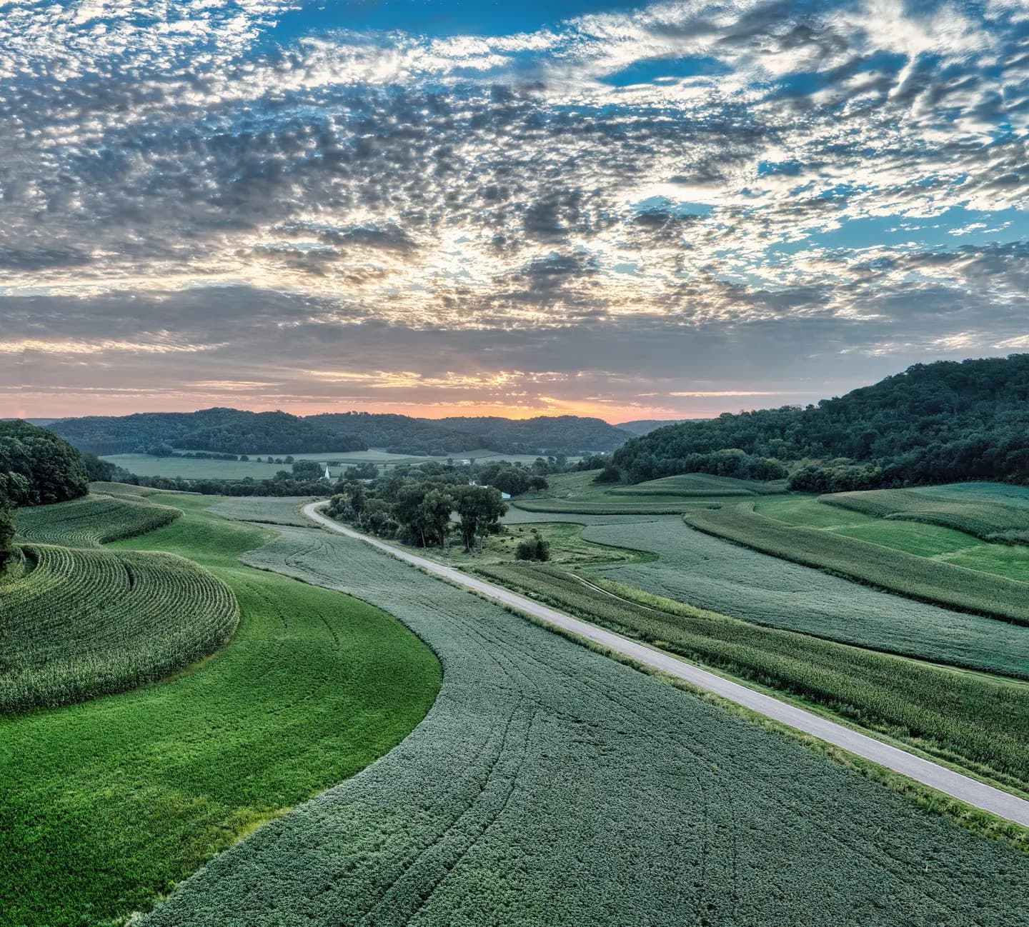 Illustrative scene, not evidence for this record: Fields and a road at sunset near Nelson, Wisconsin.