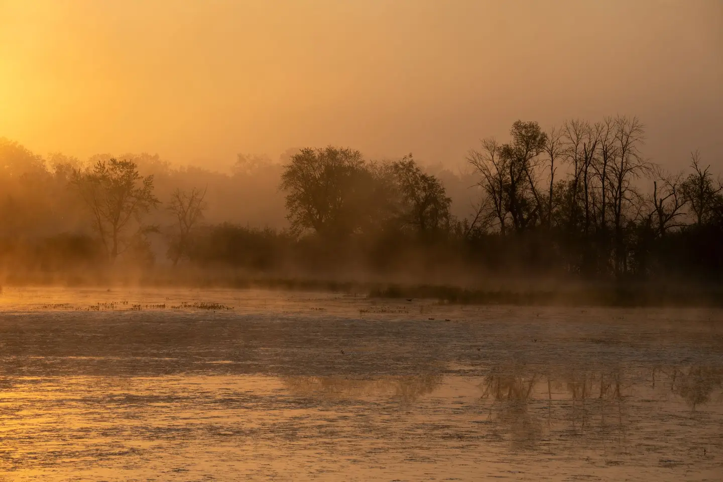 Illustrative scene, not evidence for this record: Misty sunrise over a Wisconsin lake.